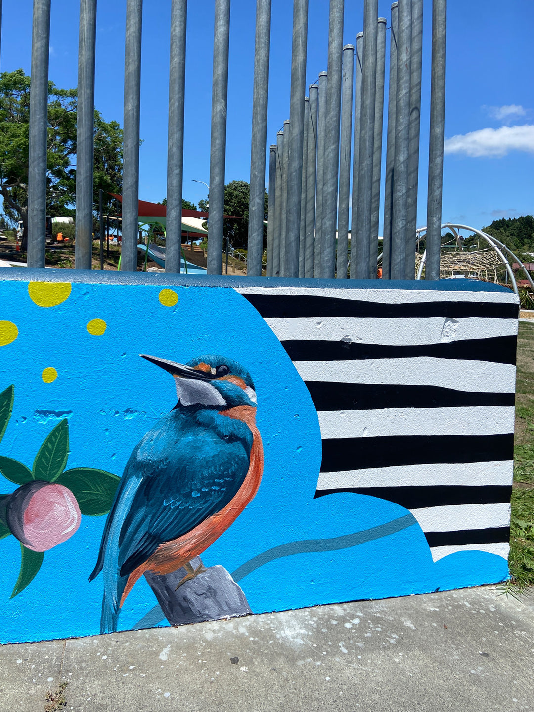 Waitaha Reserve Mural Collab – Bay of Plenty