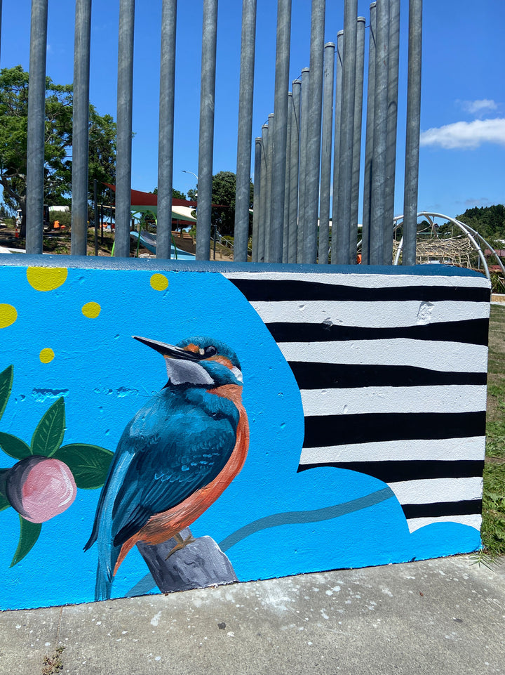 Waitaha Reserve Mural Collab – Bay of Plenty