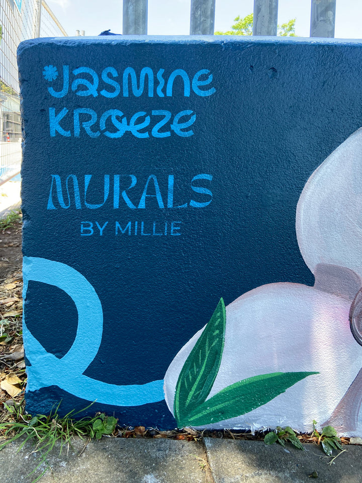 Waitaha Reserve Mural Collab – Bay of Plenty